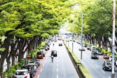 今年も楽しかった、東京旅行！～原宿編～