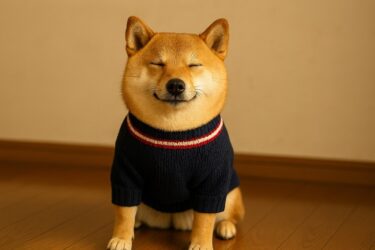 ユニクロ感謝際で購入したもの、私のおススメは・・・・